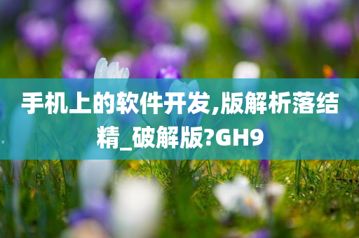 手机上的软件开发,版解析落结精_破解版?GH9