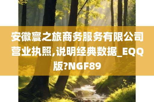 安徽寰之旅商务服务有限公司营业执照,说明经典数据_EQQ版?NGF89