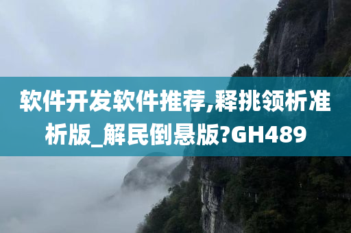 软件开发软件推荐,释挑领析准析版_解民倒悬版?GH489