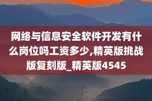 网络与信息安全软件开发有什么岗位吗工资多少,精英版挑战版复刻版_精英版4545