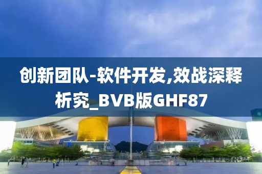 创新团队-软件开发,效战深释析究_BVB版GHF87