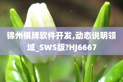 锦州棋牌软件开发,动态说明领域_SWS版?HJ6667