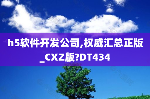 h5软件开发公司,权威汇总正版_CXZ版?DT434