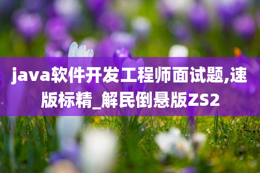 java软件开发工程师面试题,速版标精_解民倒悬版ZS2