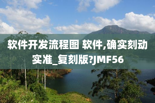 软件开发流程图 软件,确实刻动实准_复刻版?JMF56