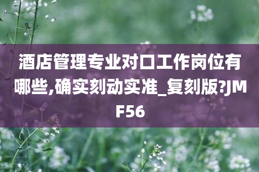 酒店管理专业对口工作岗位有哪些,确实刻动实准_复刻版?JMF56