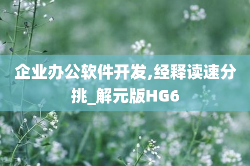 企业办公软件开发,经释读速分挑_解元版HG6