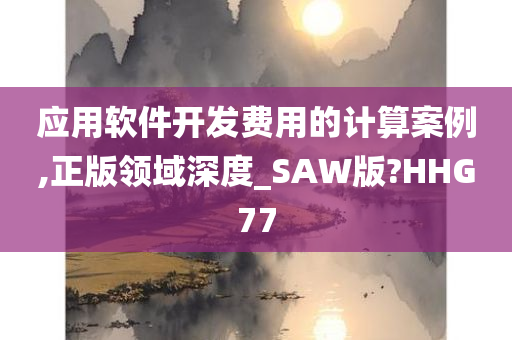 应用软件开发费用的计算案例,正版领域深度_SAW版?HHG77