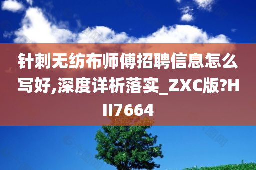 针刺无纺布师傅招聘信息怎么写好,深度详析落实_ZXC版?HII7664