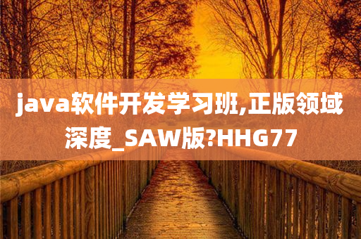 java软件开发学习班,正版领域深度_SAW版?HHG77