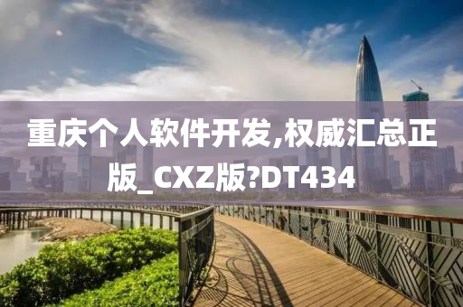 重庆个人软件开发,权威汇总正版_CXZ版?DT434