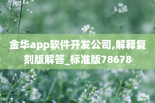 金华app软件开发公司,解释复刻版解答_标准版78678