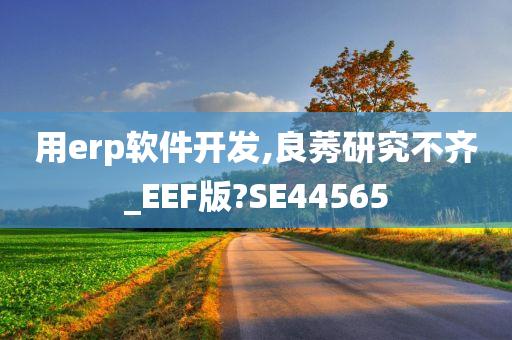 用erp软件开发,良莠研究不齐_EEF版?SE44565