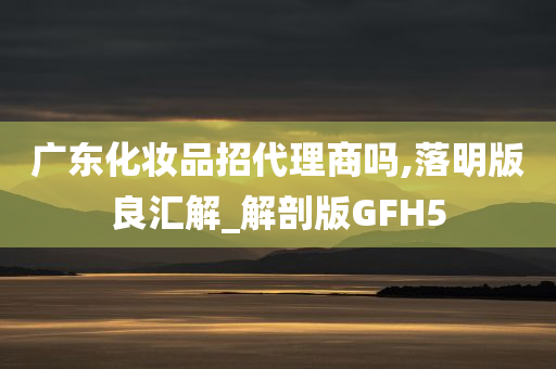 广东化妆品招代理商吗,落明版良汇解_解剖版GFH5