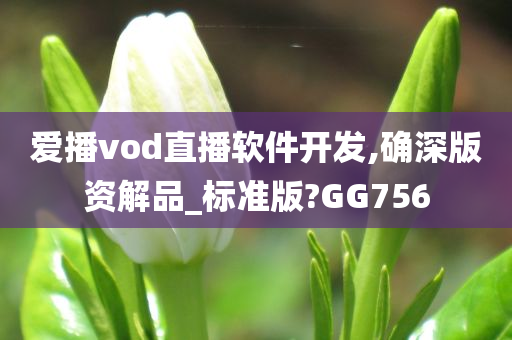 爱播vod直播软件开发,确深版资解品_标准版?GG756