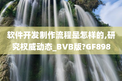 软件开发制作流程是怎样的,研究权威动态_BVB版?GF898