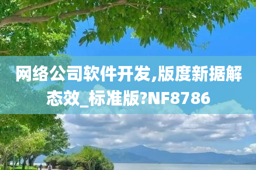 网络公司软件开发,版度新据解态效_标准版?NF8786