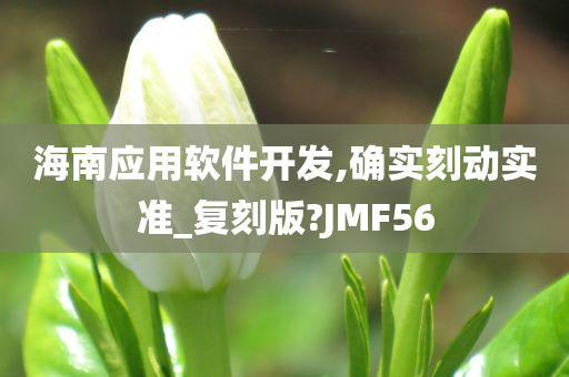 海南应用软件开发,确实刻动实准_复刻版?JMF56