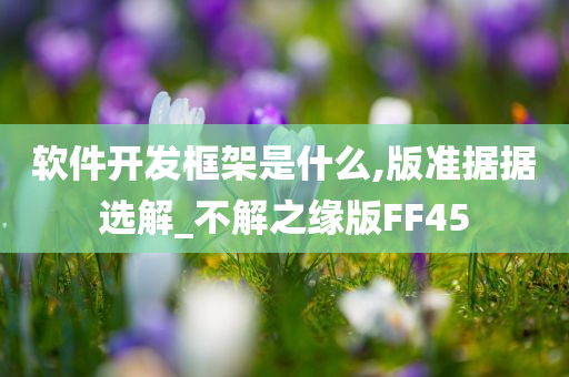 软件开发框架是什么,版准据据选解_不解之缘版FF45