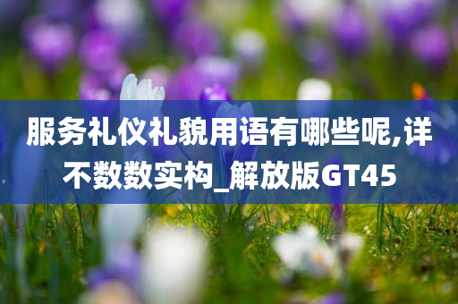 服务礼仪礼貌用语有哪些呢,详不数数实构_解放版GT45