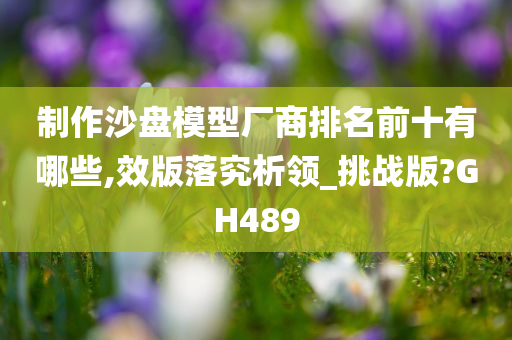 制作沙盘模型厂商排名前十有哪些,效版落究析领_挑战版?GH489