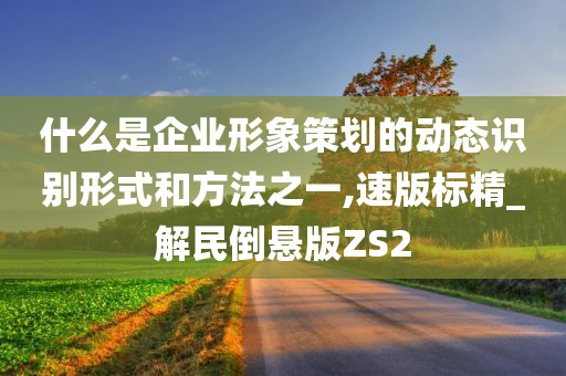 什么是企业形象策划的动态识别形式和方法之一,速版标精_解民倒悬版ZS2