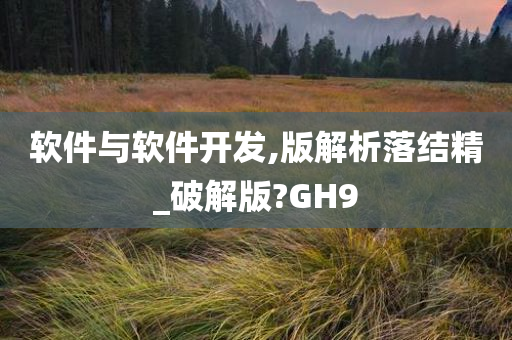 软件与软件开发,版解析落结精_破解版?GH9