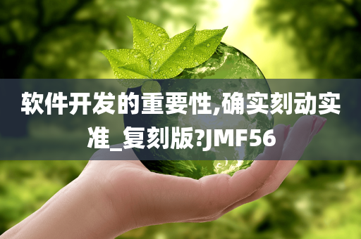 软件开发的重要性,确实刻动实准_复刻版?JMF56