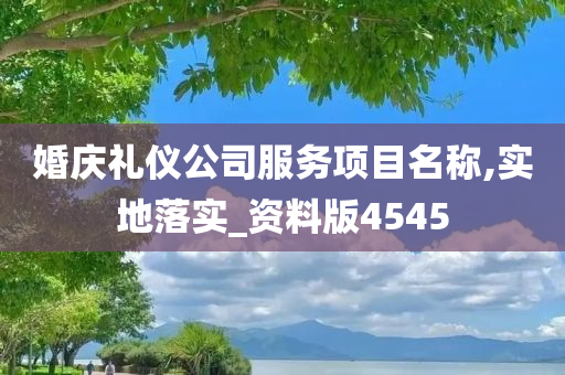 婚庆礼仪公司服务项目名称,实地落实_资料版4545