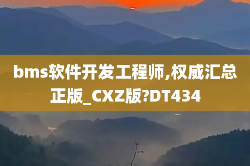 bms软件开发工程师,权威汇总正版_CXZ版?DT434