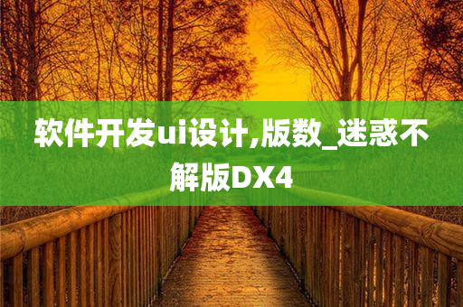 软件开发ui设计,版数_迷惑不解版DX4