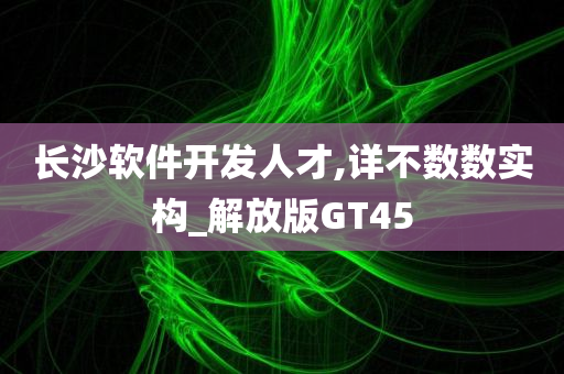 长沙软件开发人才,详不数数实构_解放版GT45