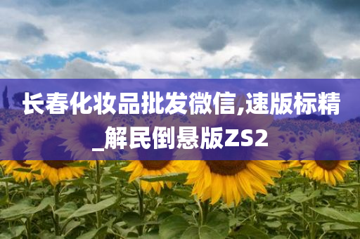 长春化妆品批发微信,速版标精_解民倒悬版ZS2