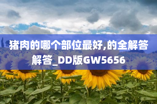 猪肉的哪个部位最好,的全解答解答_DD版GW5656