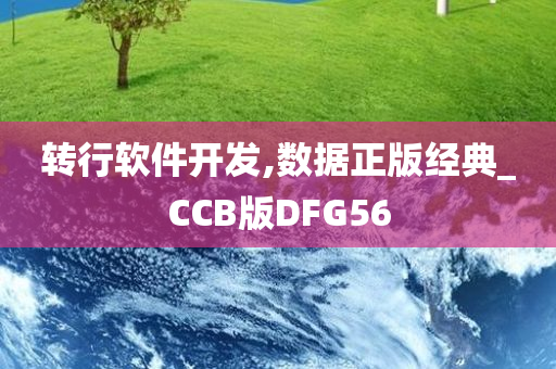 转行软件开发,数据正版经典_CCB版DFG56