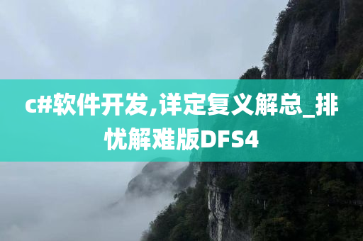 c#软件开发,详定复义解总_排忧解难版DFS4