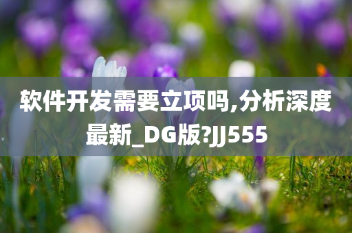 软件开发需要立项吗,分析深度最新_DG版?JJ555