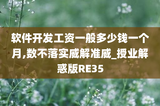 软件开发工资一般多少钱一个月,数不落实威解准威_授业解惑版RE35