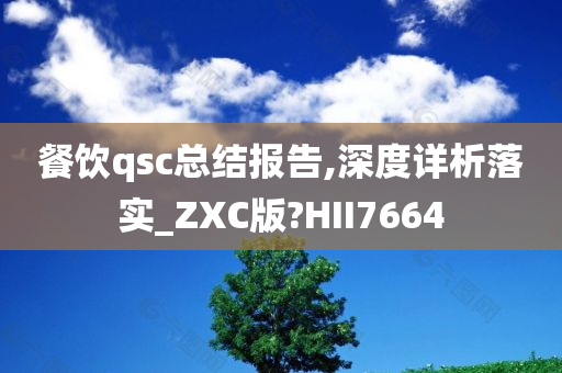 餐饮qsc总结报告,深度详析落实_ZXC版?HII7664