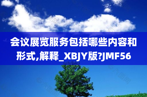 会议展览服务包括哪些内容和形式,解释_XBJY版?JMF56