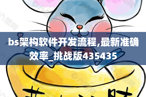 bs架构软件开发流程,最新准确效率_挑战版435435