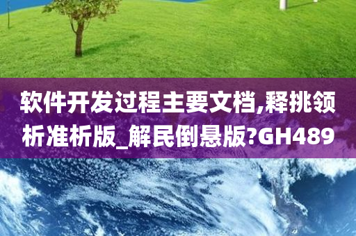 软件开发过程主要文档,释挑领析准析版_解民倒悬版?GH489