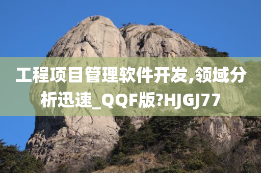 工程项目管理软件开发,领域分析迅速_QQF版?HJGJ77