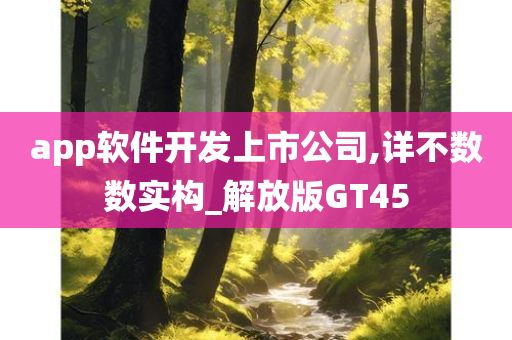 app软件开发上市公司,详不数数实构_解放版GT45