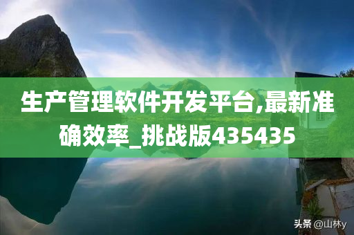 生产管理软件开发平台,最新准确效率_挑战版435435