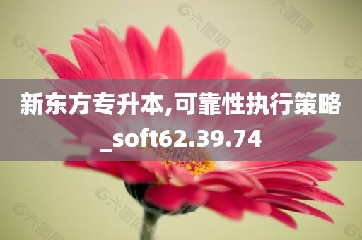 新东方专升本,可靠性执行策略_soft62.39.74