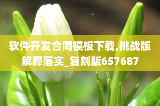 软件开发合同模板下载,挑战版解释落实_复刻版657687