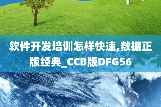 软件开发培训怎样快速,数据正版经典_CCB版DFG56