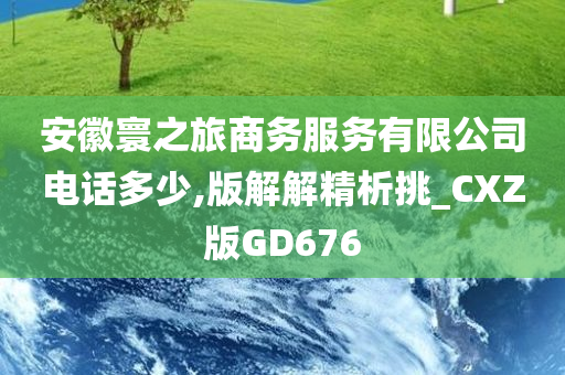 安徽寰之旅商务服务有限公司电话多少,版解解精析挑_CXZ版GD676