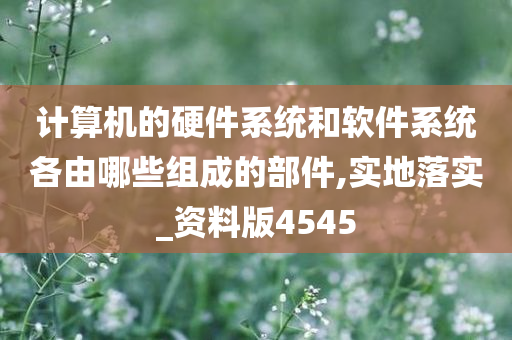 计算机的硬件系统和软件系统各由哪些组成的部件,实地落实_资料版4545